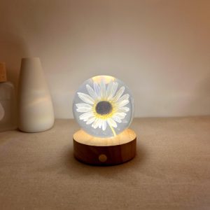 Illuminated White Daisy Crystal Ball Night Light